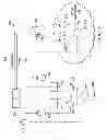 Fig. 05 - Virtual reality display system