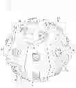 Fig. 01 - Digital 3D/360 degree camera system