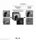 Fig. 09 - Fourier ptychographic imaging systems, devices, and methods