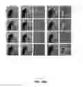 Fig. 22 - Fourier ptychographic imaging systems, devices, and methods
