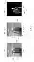 Fig. 06 - Method and apparatus for gesture recognition using a two dimensional imaging device