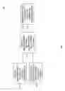 Fig. 02 - Characterizing dynamic regions of digital media data