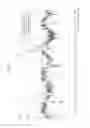 Fig. 11 - ROAD SHAPE DETERMINING DEVICE, IN-VEHICLE IMAGE RECOGNIZING DEVICE, IMAGING AXIS ADJUSTING DEVICE, AND LANE RECOGNIZING METHOD