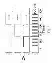Fig. 06 - Field sequential color ferroelectric liquid crystal display cell