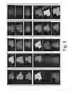Fig. 07 - Field sequential color ferroelectric liquid crystal display cell