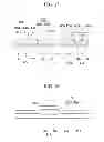 Fig. 13 - Liquid crystal display and manufacturing method thereof
