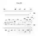 Fig. 16 - Liquid crystal display and manufacturing method thereof