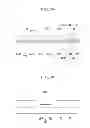 Fig. 23 - Liquid crystal display and manufacturing method thereof