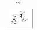Fig. 08 - Image processing apparatus and image processing method