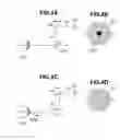 Fig. 05 - Ophthalmologic apparatus and method for controlling the same