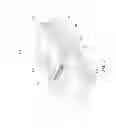 Fig. 02 - Transmitted light observation apparatus
