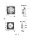 Fig. 04 - Light-emitting unit and luminaire