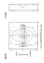 Fig. 08 - Lamp