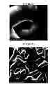 Fig. 09 - Reflective nanofiber lighting devices