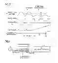 Fig. 03 - AC Input Voltage Detection Circuit and AC/DC Power Source