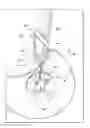 Fig. 01 - Concrete discharge boot accessory device and method of use thereof