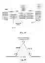 Fig. 08 - Wireless communication methods and apparatus