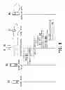 Fig. 09 - System, server and method for calculating data volume of network access