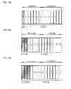 Fig. 04 - Communication device, communication method, communication system, and base station