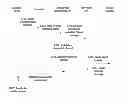 Fig. 01 - Method, device, and system for acquiring application information in WLAN