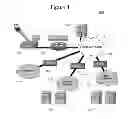 Fig. 02 - Multiple access point name and IP service connectivity