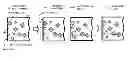 Fig. 01 - Method for detecting crystal defects