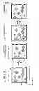 Fig. 02 - Method for detecting crystal defects