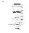 Fig. 22 - Image coding apparatus, image coding method, and program, and image decoding apparatus, image decoding method, and program, relating to use of an image quality control parameter
