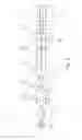 Fig. 04 - Wideband software-defined RF receiver