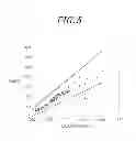 Fig. 06 - IMAGE RECOGNIZING APPARATUS AND METHOD