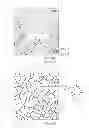 Fig. 06 - Method for automatic quantification of dendrite arm spacing in dendritic microstructures