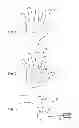 Fig. 02 - Biometric identification