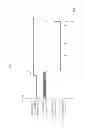 Fig. 09 - Image forming apparatus and control method thereof