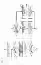 Fig. 12 - Image forming apparatus including transfer belt