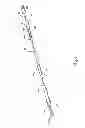 Fig. 02 - Handheld precise liquid marker
