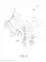 Fig. 02 - Fixing mechanism and antenna device therewith