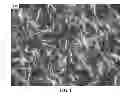Fig. 02 - NOVEL SOLVENTS FOR METAL ION REDUCTION METHODS, COMPOSITIONS, AND ARTICLES