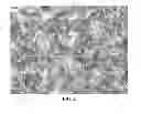 Fig. 03 - NOVEL SOLVENTS FOR METAL ION REDUCTION METHODS, COMPOSITIONS, AND ARTICLES