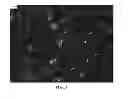 Fig. 04 - NOVEL SOLVENTS FOR METAL ION REDUCTION METHODS, COMPOSITIONS, AND ARTICLES