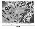 Fig. 05 - NOVEL SOLVENTS FOR METAL ION REDUCTION METHODS, COMPOSITIONS, AND ARTICLES