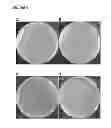 Fig. 05 - Photodynamic Control of Microbial Growth on Surfaces