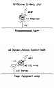 Fig. 01 - METHOD FOR DETECTION OF AMYLOIDS BETA OLIGOMERS IN A FLUID SAMPLE AND USES THEREOF