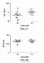 Fig. 07 - METHOD FOR DETECTION OF AMYLOIDS BETA OLIGOMERS IN A FLUID SAMPLE AND USES THEREOF