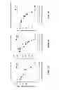 Fig. 08 - NANOPARTICLES FOR IMAGING AND TREATING CHLAMYDIAL INFECTION