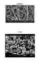 Fig. 04 - POLYMERS AND METHODS THEREOF FOR WOUND HEALING