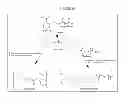 Fig. 08 - POLYMERS AND METHODS THEREOF FOR WOUND HEALING