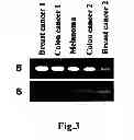 Fig. 04 - IMMUNITY INDUCING AGENT