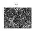 Fig. 02 - Three-dimensional porous biodegradable cell scaffold