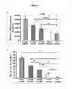 Fig. 02 - Cardiosphere derived cell population and methods of use