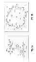 Fig. 02 - Amphoteric Materials Based on Crosslinked Hyaluronic Acid, Method of Preparation Thereof, Materials Containing Entrapped Active Agents, Method of Preparation Thereof, and Use of Said Materials